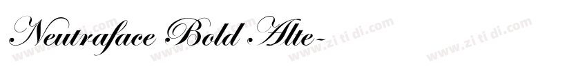Neutraface Bold Alte字体转换